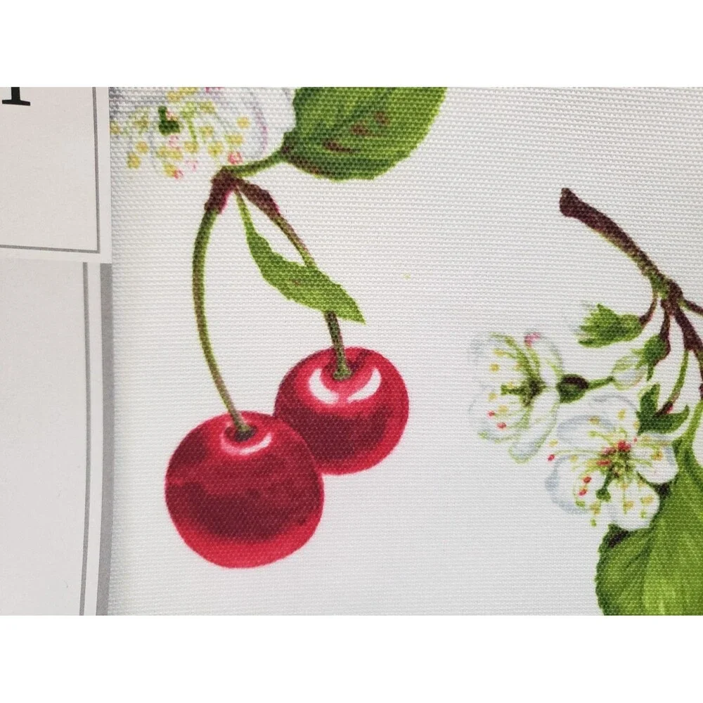 Set of 4 Same Reversible Fabric Placemats (13